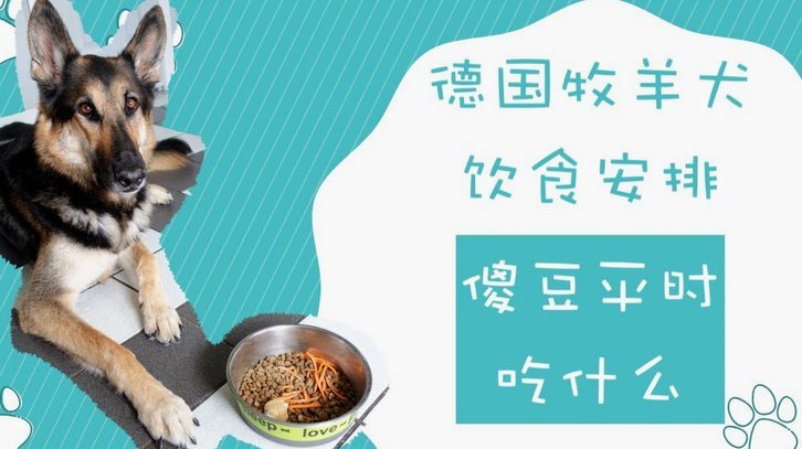 羊小咩购物额度怎么分期
