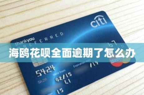 海鸥花呗：重塑消费新生态