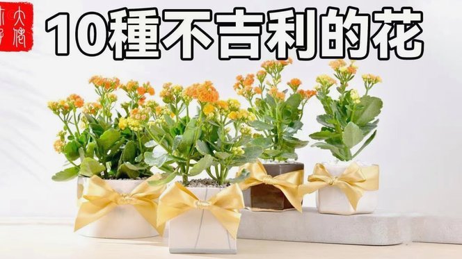 花呗资金如何合法使用