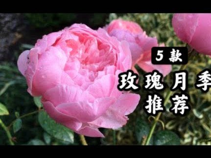 花呗里钱怎么套现