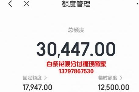 白条临时额度加油包怎么用