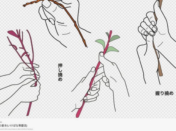 花呗提现费：全知道