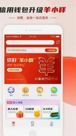 羊小咩怎么看购物额度