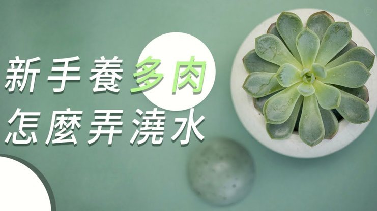得物取现：真相与风险揭秘