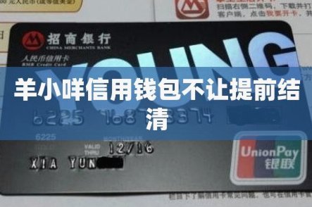 羊小咩如何高效还债