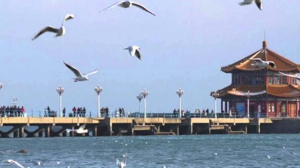 海鸥花呗平台 现在叫什么