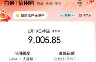 白条额度提升的隐患与风险