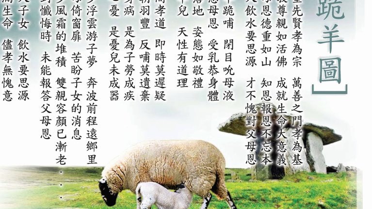 羊小咩回收哪家最靠谱