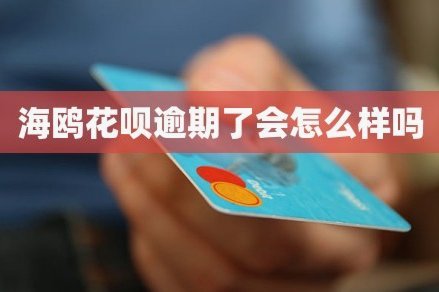 海鸥花呗平台 现在叫什么名字