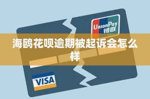 海鸥花呗平台 现在叫什么名字