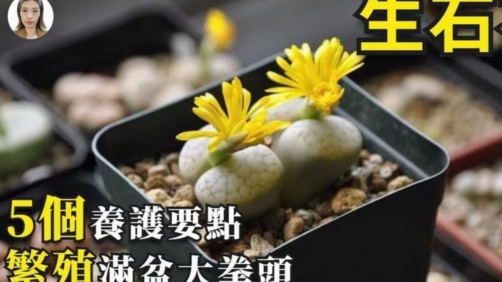 携程“拿去花”如何助力你的旅程？