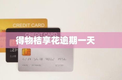 得物借钱能提现吗