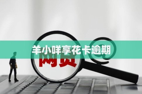 羊小咩临时额度怎么套出来