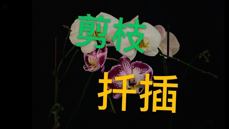花呗兑现怎么用？注意这些风险