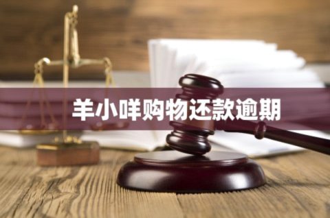 羊小咩协商还款全攻略