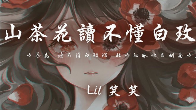 花呗问题处理指南