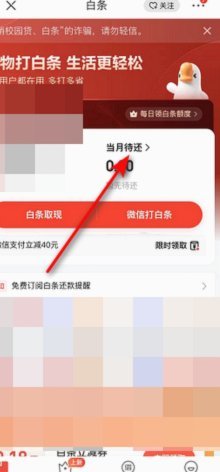 京东白条在哪里提现京东白条提现