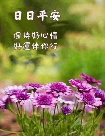 拿去花小金额快周转