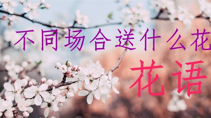 花呗提现指南