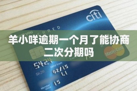 羊小咩分期攻略全揭秘