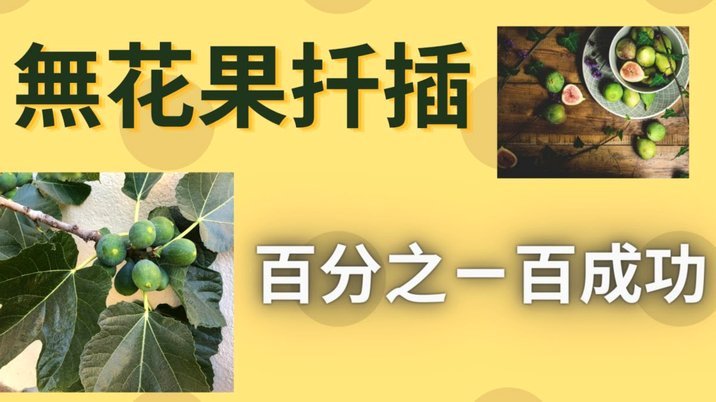 拿去花取现能成功吗是真的吗