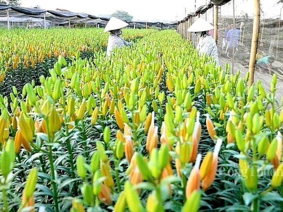 正规花呗提现平台