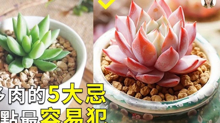“拿去花”套路揭秘