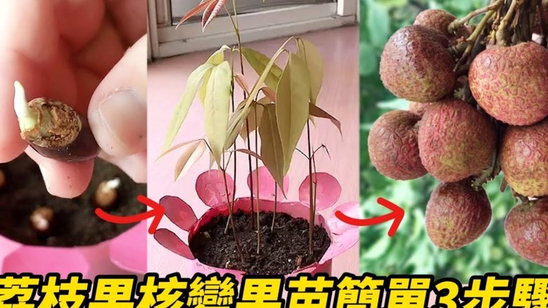 便荔卡套现真的成功了吗？