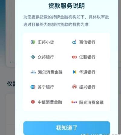 揭秘“羊小咩”放款背后的真相：借贷成功究竟是什么？