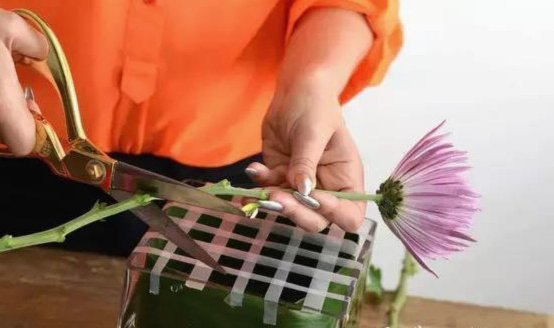 拿去花怎么套出来操作方法