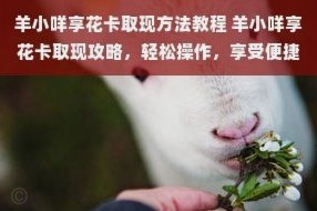 羊小咩放款方有哪些？